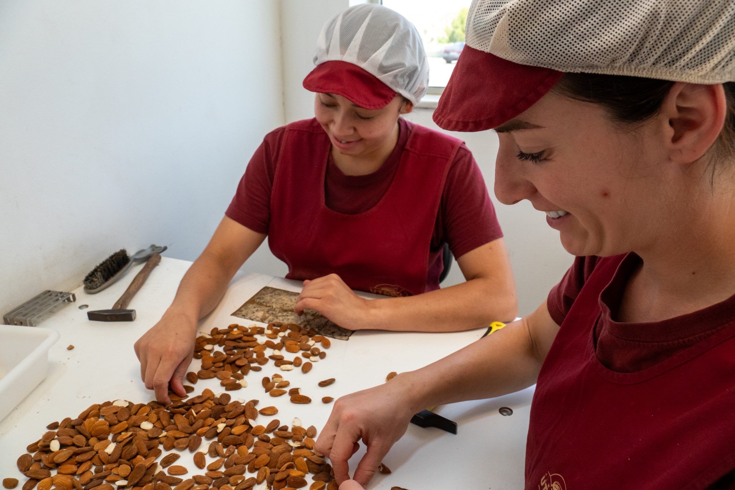 Recepción de almendra en cáscara